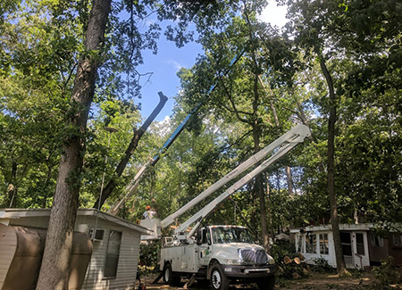 American Arbor, LLC Image